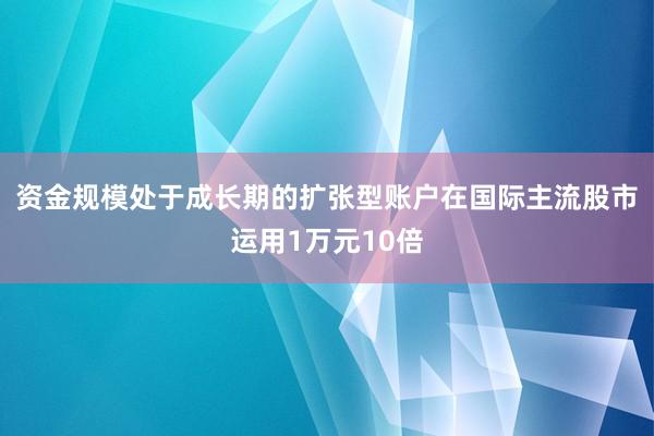 资金规模处于成长期的扩张型账户在国际主流股市运用1万元10倍