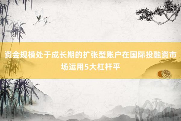 资金规模处于成长期的扩张型账户在国际投融资市场运用5大杠杆平